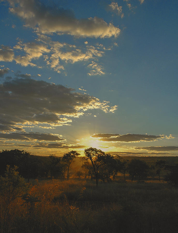 Zimbabwe Sunset #1 Photograph by David Drew
