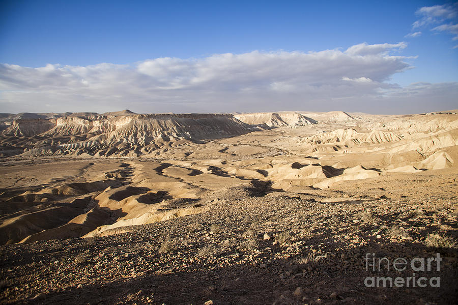 Landscape Photograph - Zin Valley Negev Desert Israel #1 by Eyal Bartov