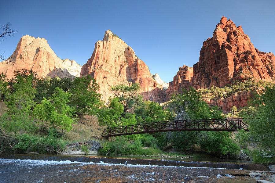 Zion National Park #1 Photograph by Michele Falzone