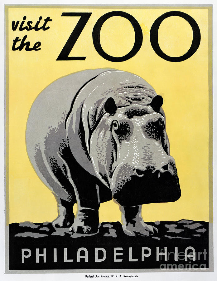 ZOO POSTER c1936 #1 Photograph by Granger