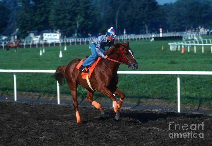 Affirmed #11 Photograph by Marc Bittan