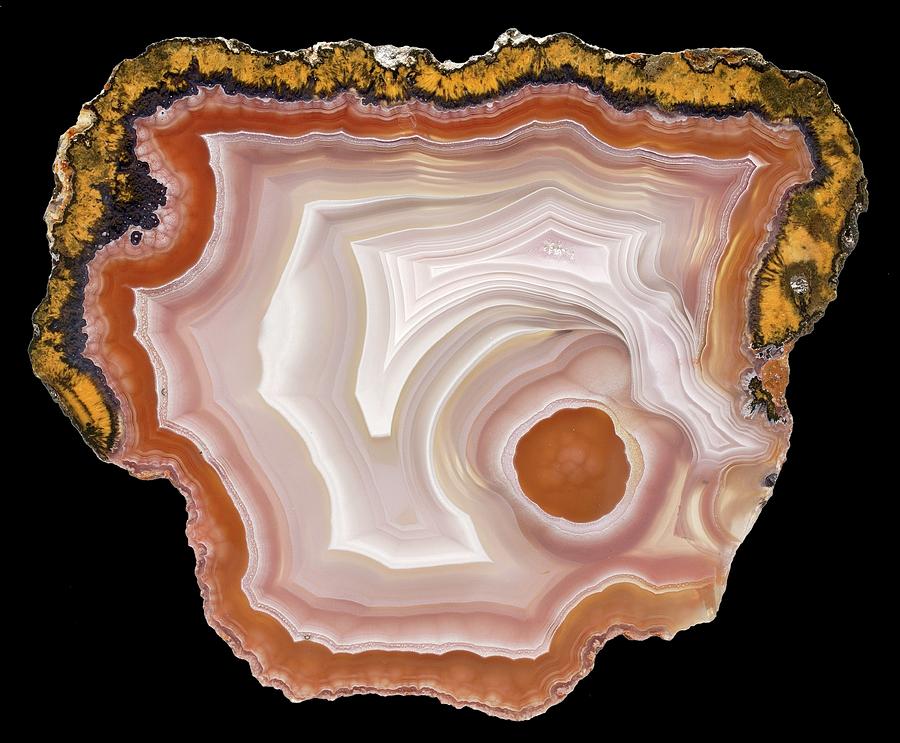 Agate #10 Photograph by Natural History Museum, London/science Photo Library