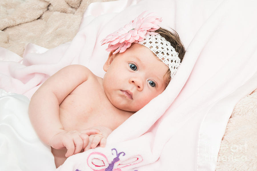 Baby Gianna #32 Photograph by Jim DeLillo