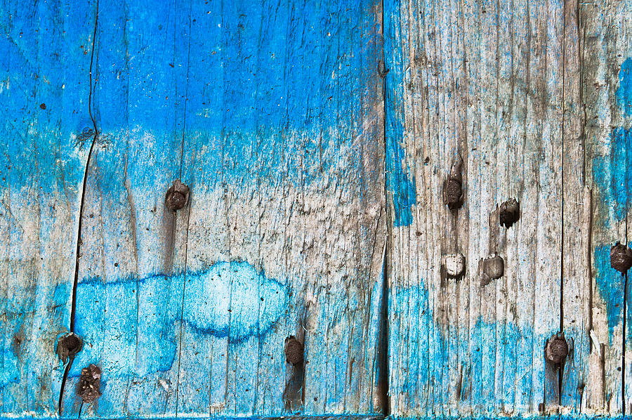 Nature Photograph - Blue wood #10 by Tom Gowanlock
