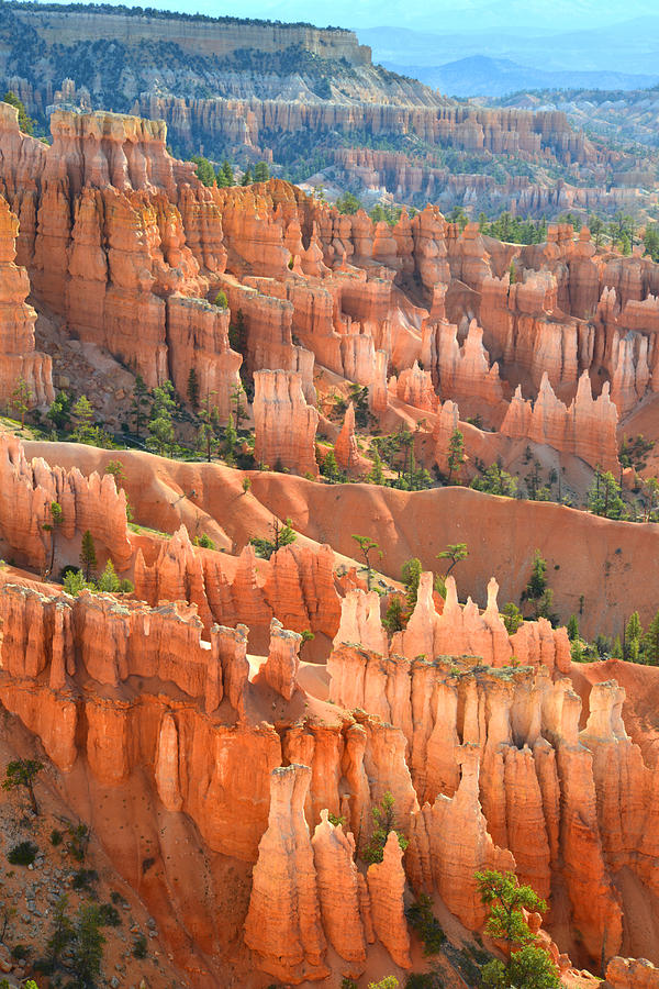 Bryce Canyon #1 Photograph by Ray Mathis