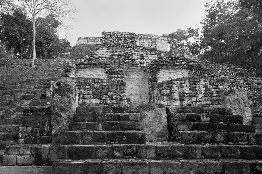 Calakmul Mayan Ruins #10 Digital Art by Carol Ailles
