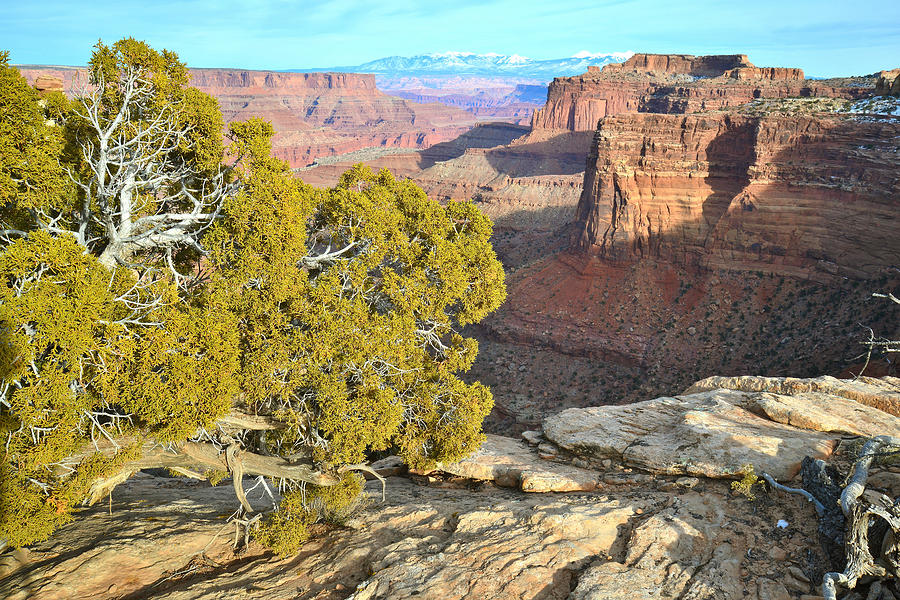 Canyonlands #27 Photograph by Ray Mathis