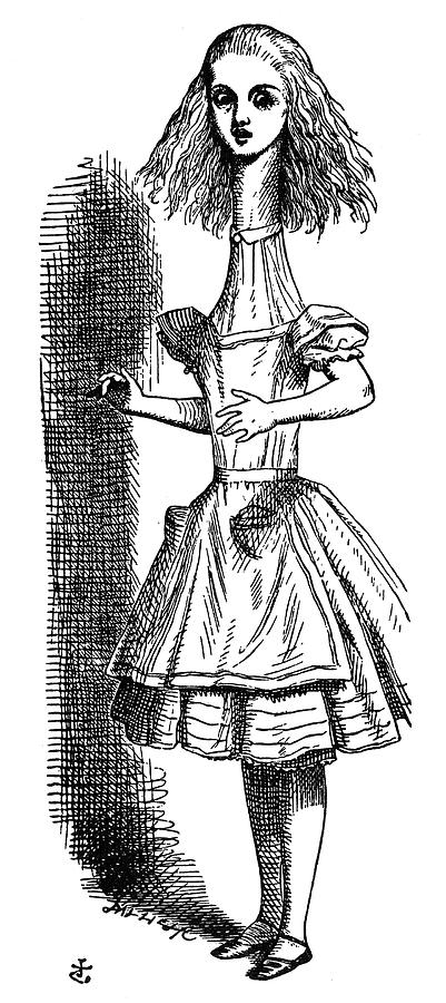 Carroll Alice, 1865 Drawing by Granger - Fine Art America