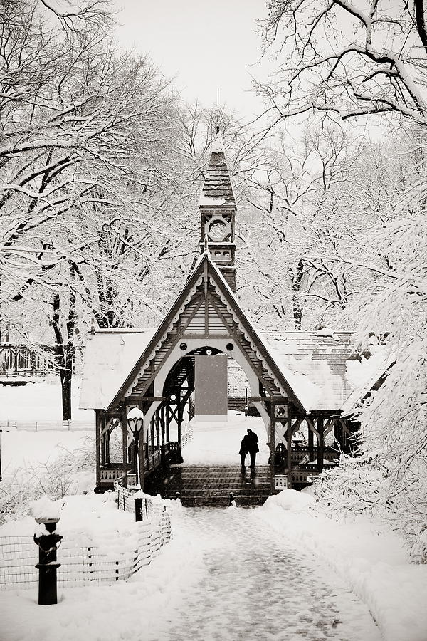 Central Park winter #10 Photograph by Songquan Deng