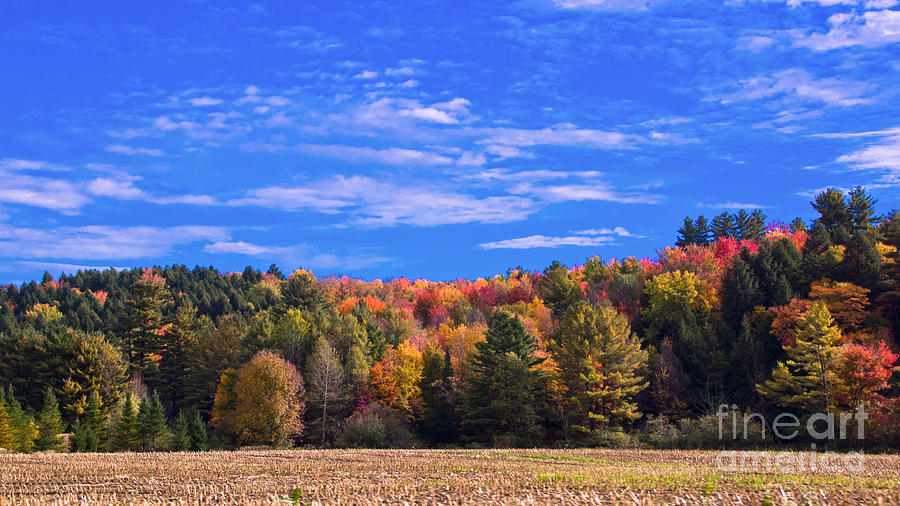 Classic Vermont Foliage. #19 Photograph by New England Photography