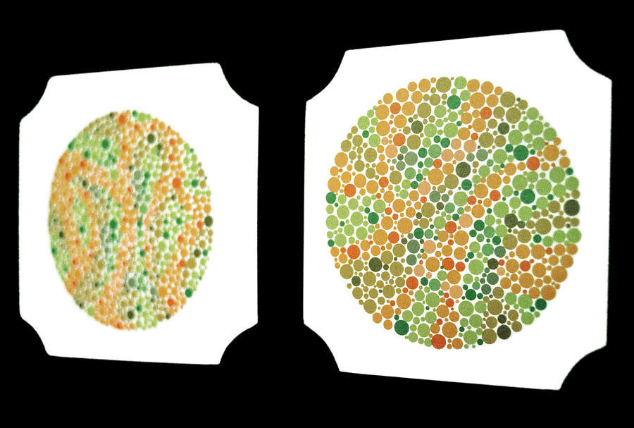Colour Blindness Test #10 Photograph by Annabella Bluesky/science Photo Library