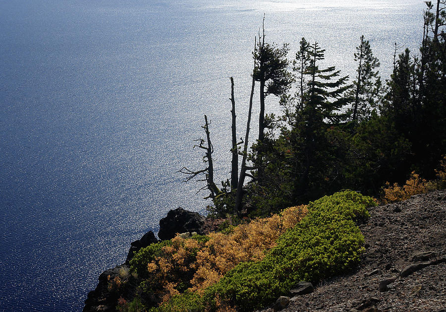 Crater Lake #10 Photograph by Betty Depee