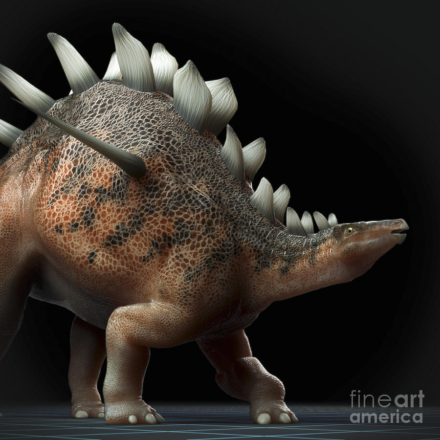 Dinosaur Kentrosaurus #10 Photograph by Science Picture Co
