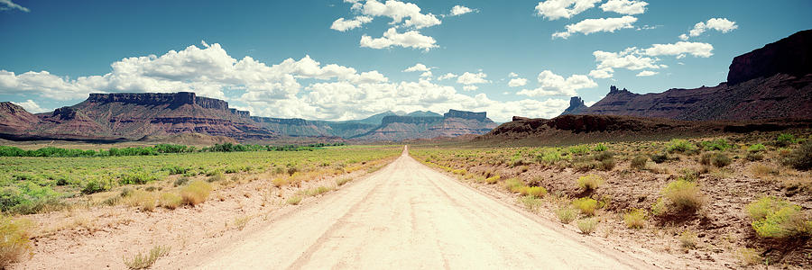 Nature Photograph - Dirt Road Passing Through A Landscape #10 by Panoramic Images