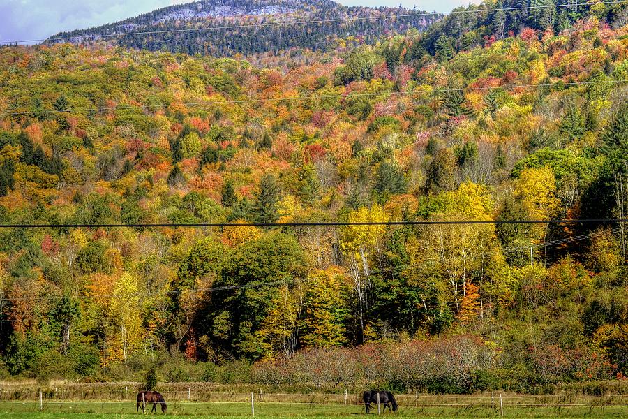 Fall Foliage in Vermont #10 Photograph by Paul James Bannerman