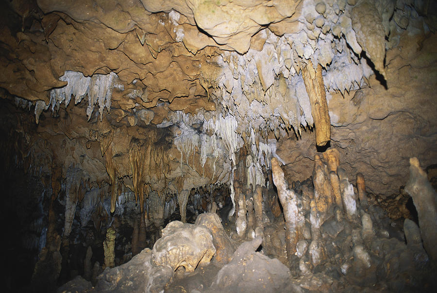 Florida Caverns State Park #10 Photograph by Millard H. Sharp
