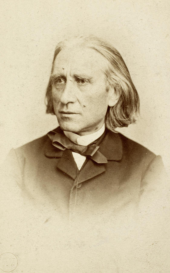 Franz Liszt (1811-1886) #10 Photograph by Granger
