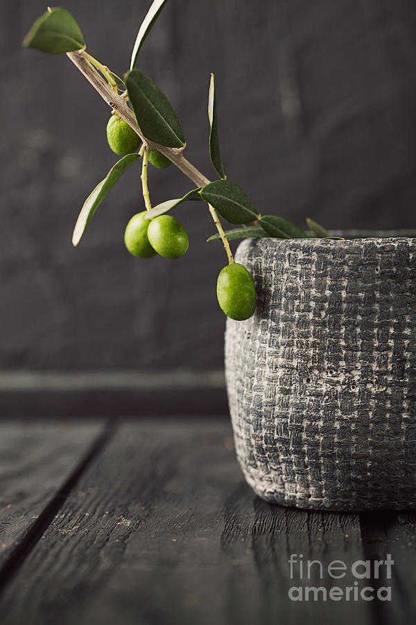 Greek Photograph - Fresh olives  #10 by Mythja Photography