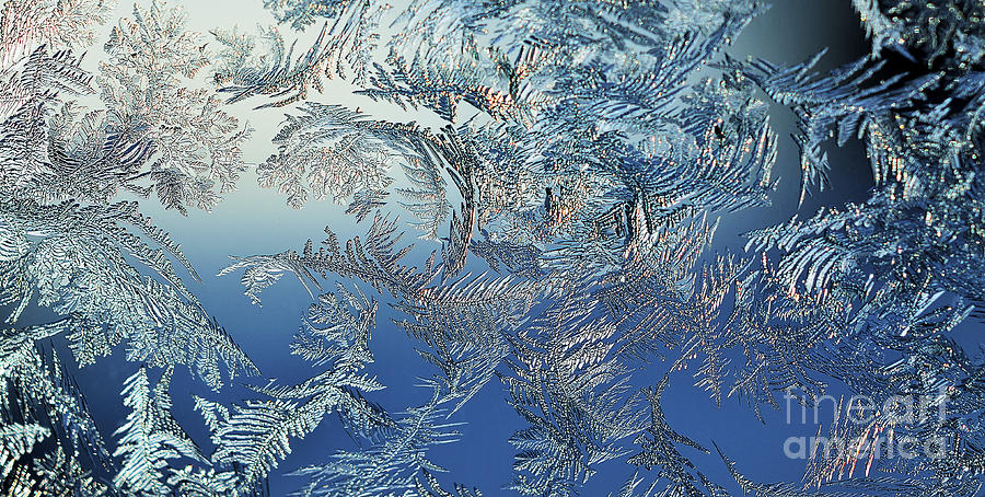 10 Frost On A Windowpane Thomas R Fletcher 