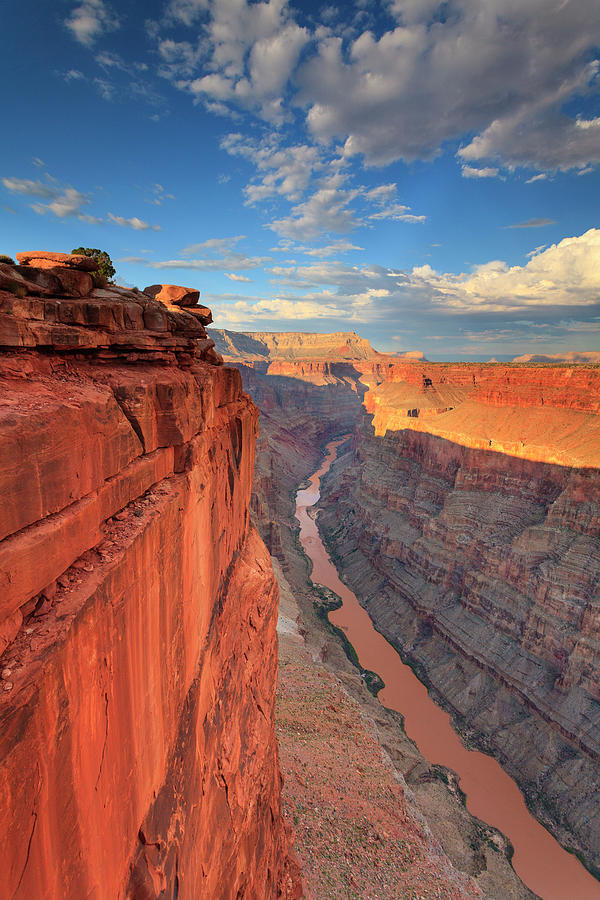 Grand Canyon National Park #10 Photograph by Michele Falzone