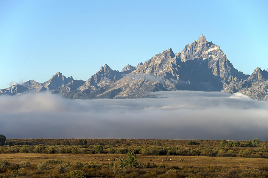Grand Teton National Park, Wy #10 Photograph by Mark Newman