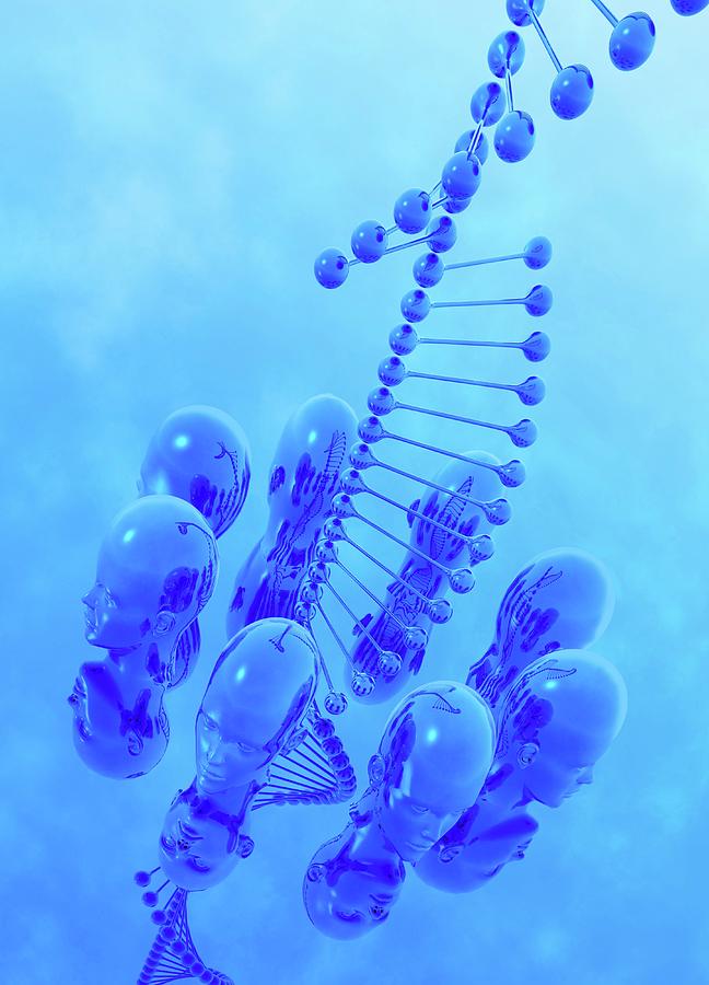 Artwork Photograph - Human Cloning 10 by Victor Habbick Visions/science Photo Library Artwork Photograph - Human Cloning 10 by Victor Habbick Visions/science Photo Library