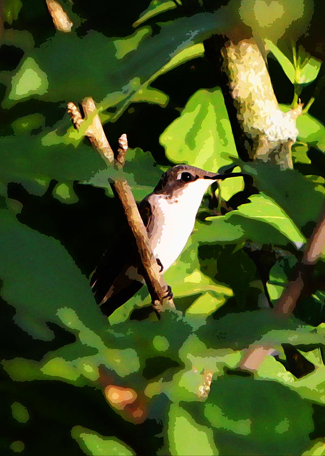 Hummingbird #10 Photograph by John Freidenberg