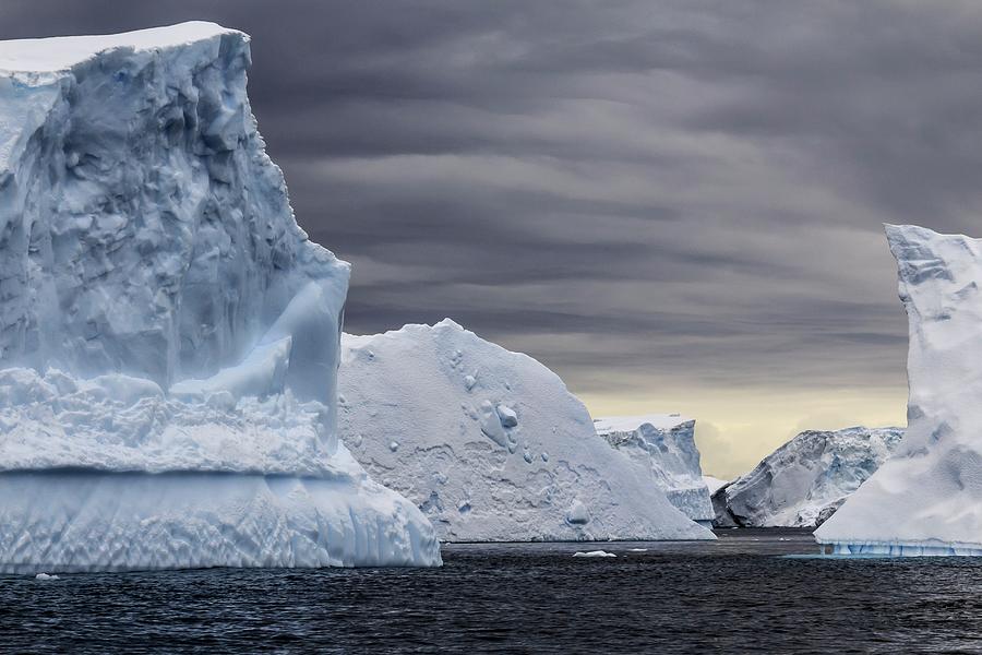 Icebergs Photograph by Alfred Pasieka/science Photo Library | Fine Art ...