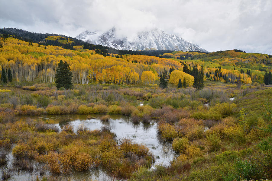 Kebler Pass Fall Colors #9 Photograph by Ray Mathis