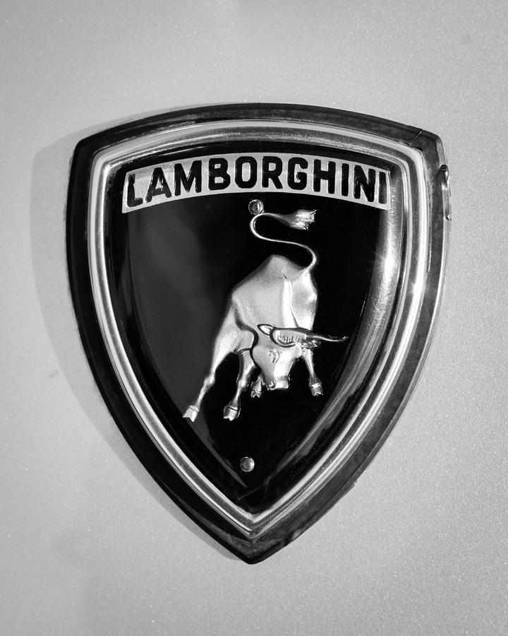 Lamborghini Emblem #10 Photograph by Jill Reger