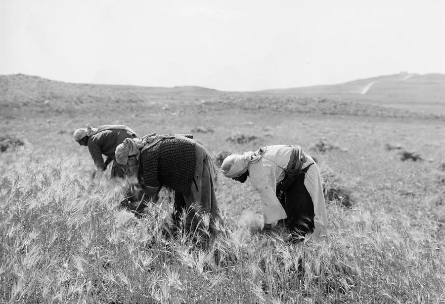 Mount Of Olives Photograph by Granger