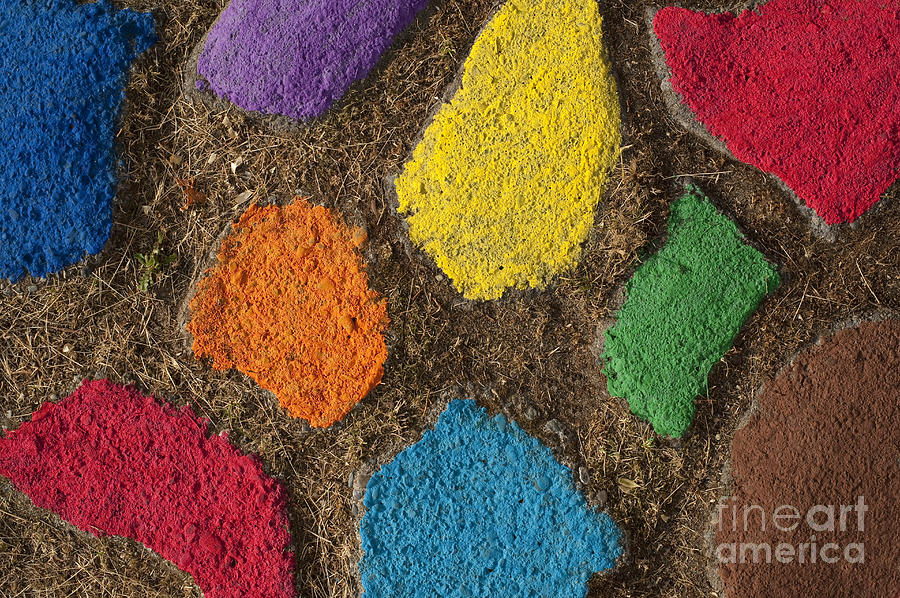 Multicolored rock path #10 Photograph by Jim Corwin