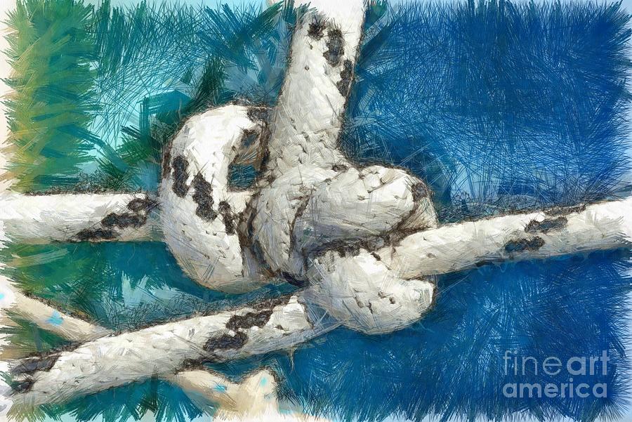 Rope Painting - Nautical knots #5 by George Atsametakis