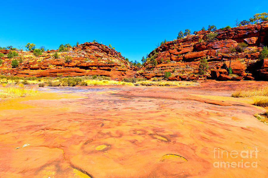 Palm Valley Central Australia  #10 Photograph by Bill  Robinson