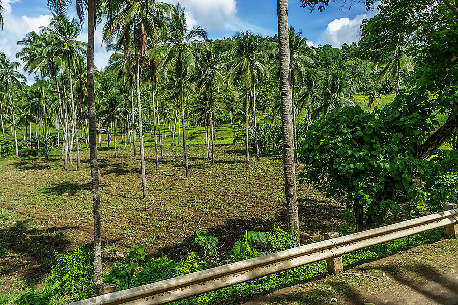 Philippine Countryside Scene Photograph
