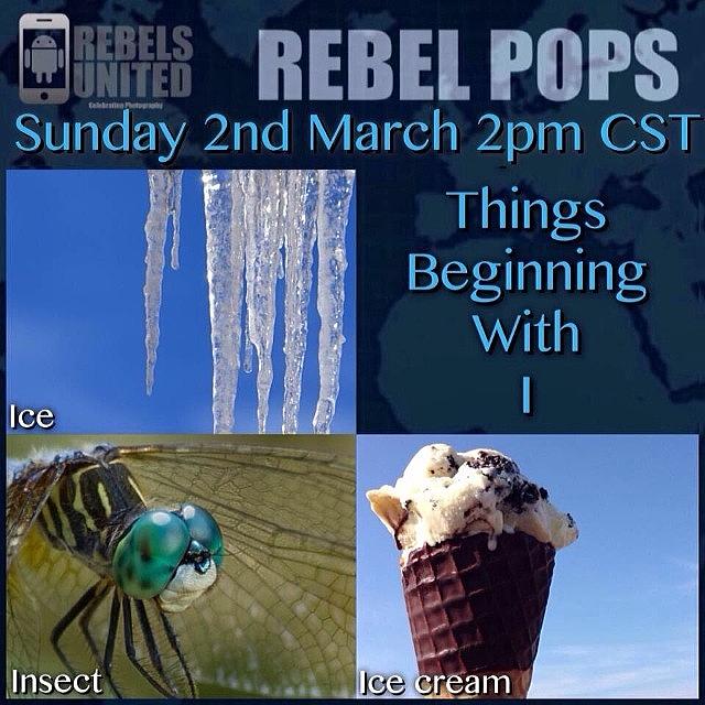 💥rebel Pops💥

meet New Igers #10 Photograph by Paul Burger