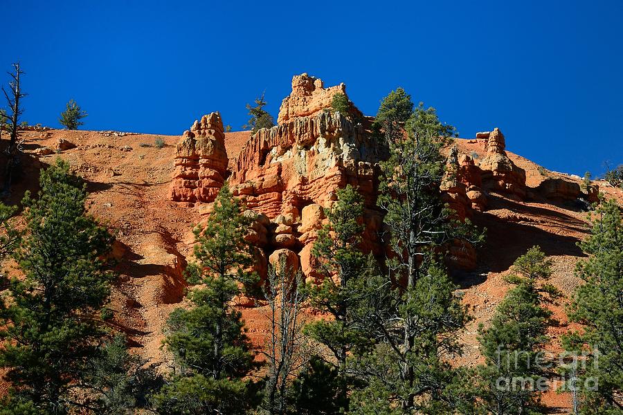 Red Canyon #10 Photograph by Marc Bittan