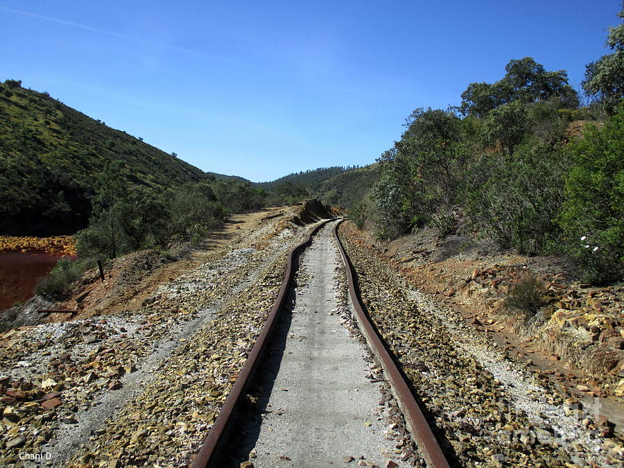 Rio Tinto Abandoned Railway #10 Photograph by Chani Demuijlder