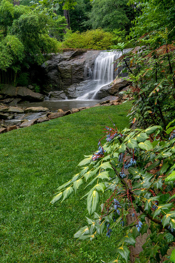 Rock Quarry Falls In Cleveland Park  Greenville SC #10 Photograph by Willie Harper
