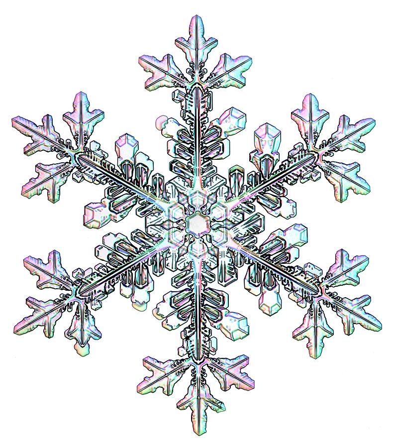 Snowflake #10 Photograph by Kenneth Libbrecht