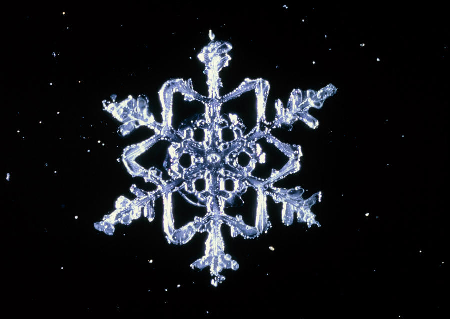 Snowflake #10 Photograph by Perennou Nuridsany