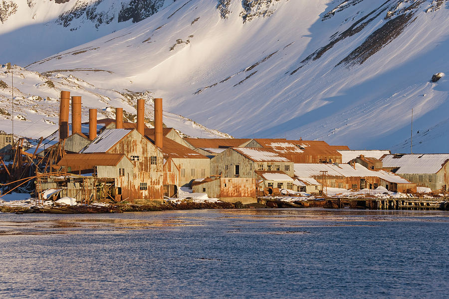 Uk Territory, South Georgia Island #10 Photograph by Jaynes Gallery ...