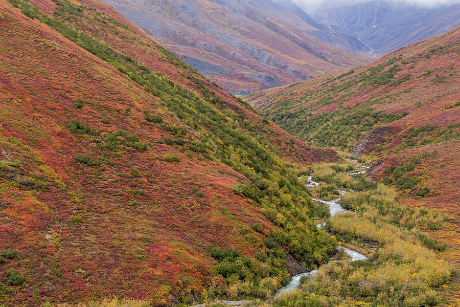 USA Alaska Brooks Range Photograph By Jaynes Gallery Pixels   10 Usa Alaska Brooks Range Jaynes Gallery 