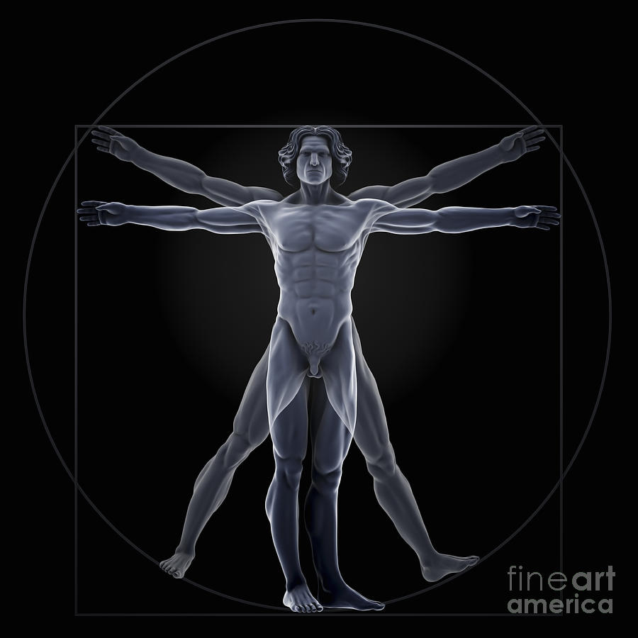 Vitruvian Man #10 Photograph by Science Picture Co