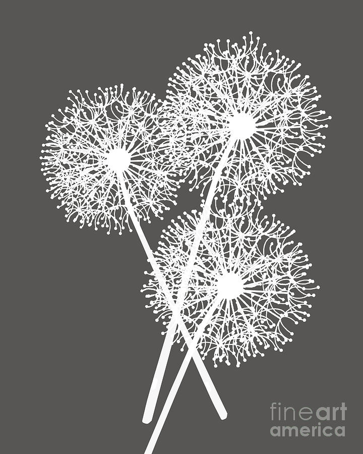 Flower Digital Art - White Dandelions #10 by Edit Voros