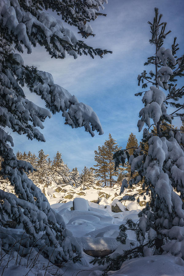 Winter Photograph - Winter Landscape #10 by Dobromir Dobrinov