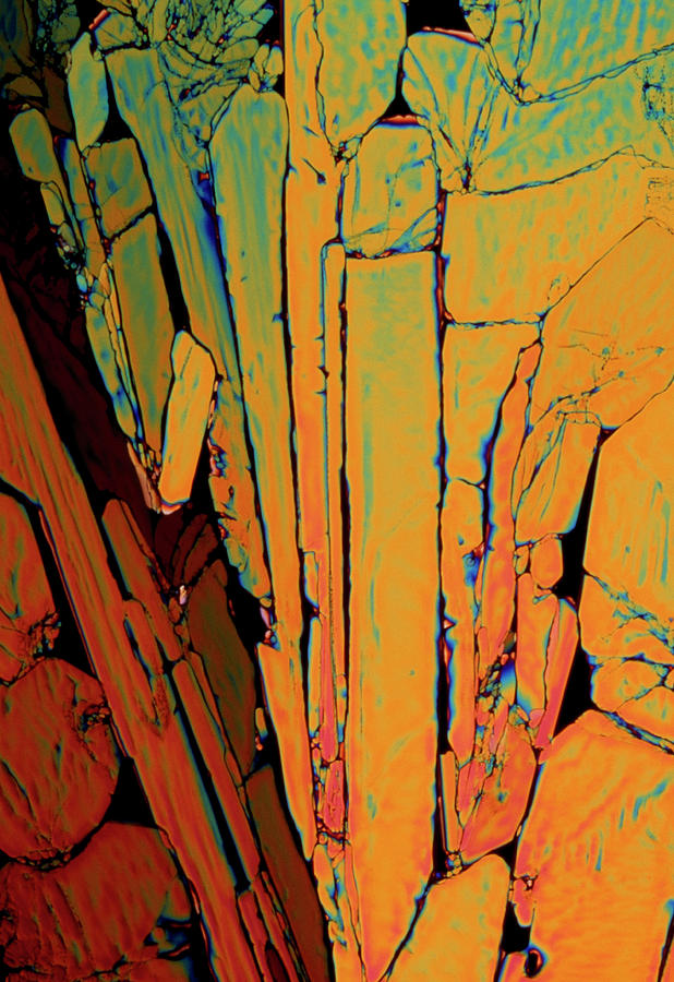 Xylitol Crystals #10 Photograph by Sidney Moulds/science Photo Library