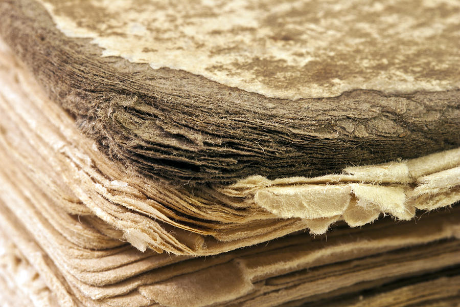 Vintage Photograph - 100 Year Old Book Macro by Sandra Foster