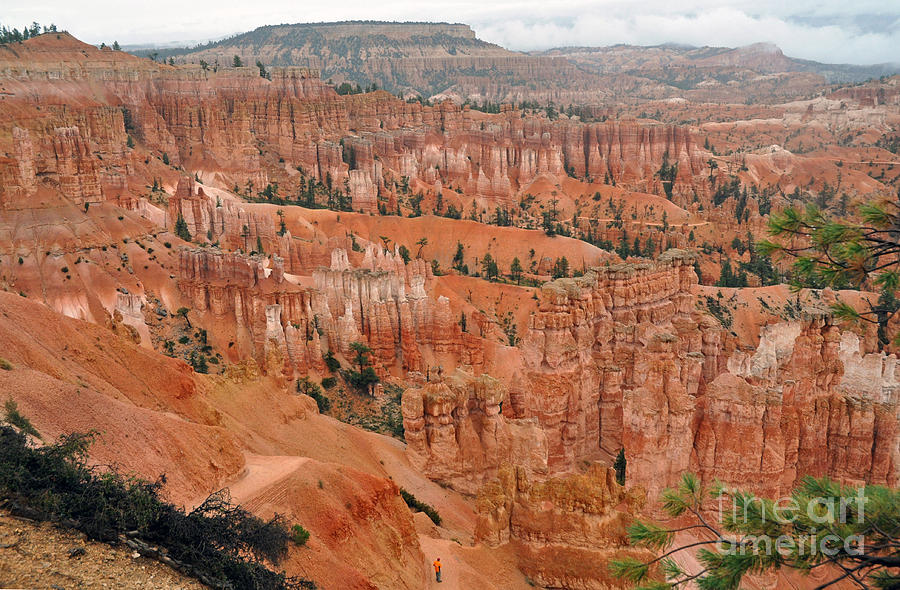 1015A Bryce Canyon Photograph by NightVisions