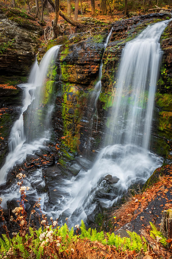  Waterfalls George W Childs National Park Painted  #11 Photograph by Rich Franco